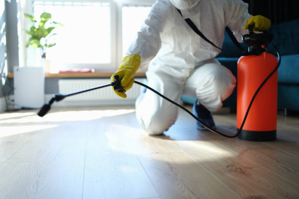 Trusted Odor Removal service in Inverness, CA - Four Month Blood Cleanse